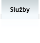 Sluby